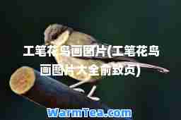 工笔花鸟画图片(工笔花鸟画图片大全俞致贞)