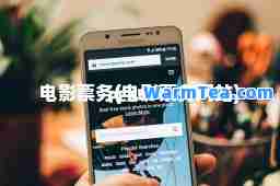 电影票务(电影票务网站)