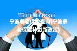 宁波养老保险查询(宁波养老保险补缴新政策)