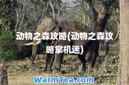 动物之森攻略(动物之森攻略掌机迷)