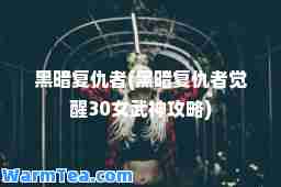 黑暗复仇者(黑暗复仇者觉醒30女武攻略)
