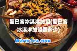 酷巴客冰淇淋加盟(酷巴客冰淇淋加盟费多少)
