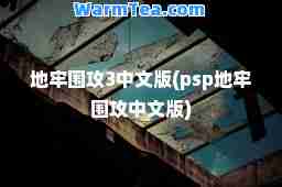 地牢围攻3中文版(psp地牢围攻中文版)