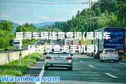 威海车辆违章查询(威海车辆违章查询手机版)