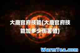 大唐官府技能(大唐官府技能加多少伤害值)