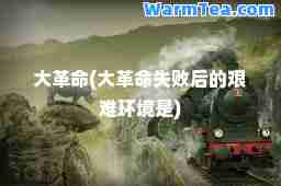 大革(大革失败后的艰难环境是)