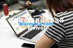 访客模式(访客模式怎么开启vivo)
