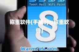 称重软件(手机app称重软件)