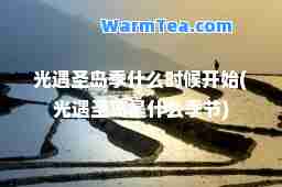 光遇圣岛季什么时候开始(光遇圣岛是什么季节)