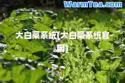 大白菜系统(大白菜系统官网)