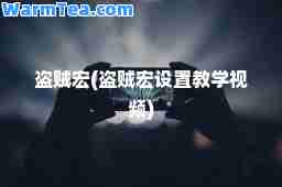 盗贼宏(盗贼宏设置教学视频)