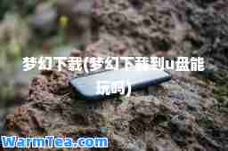 梦幻下载(梦幻下载到u盘能玩吗)