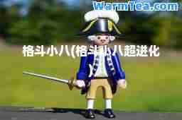 格斗小八(格斗小八超进化)