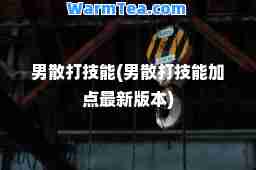 男散打技能(男散打技能加点版本)