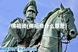 佛祖骑(佛祖骑什么意思)