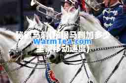 秘银马刺(秘银马刺加多少坐骑移动速度)