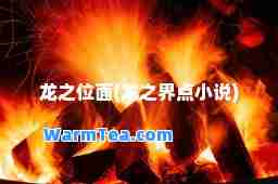 龙之位面(龙之界点小说)