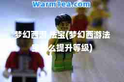 梦幻西游 法宝(梦幻西游法宝怎么等级)