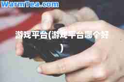 游戏平台(游戏平台哪个好)