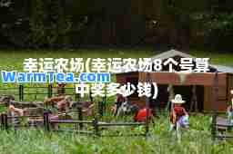 幸运农场(幸运农场8个号算中奖多少钱)