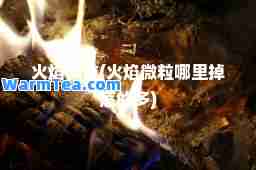 火焰微粒(火焰微粒哪里掉落的多)