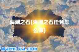 海潮之石(海潮之石任务怎么做)