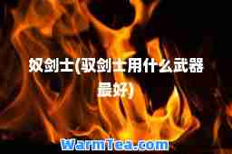 剑士(驭剑士用什么武器最好)