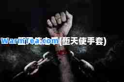 堕天使之手(堕天使手套)