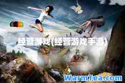 经营游戏(经营游戏手游)