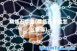 精炼石中盐(精炼石中盐怎么获得)