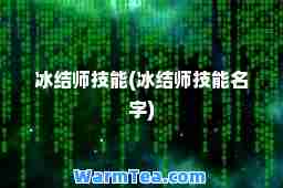 冰结师技能(冰结师技能名字)