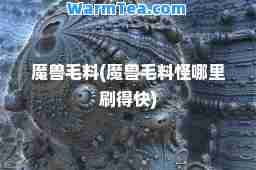 魔兽毛料(魔兽毛料怪哪里刷得快)