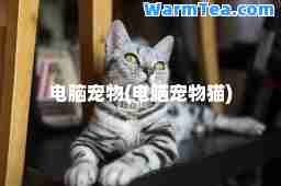 电脑宠物(电脑宠物猫)