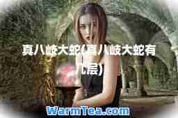 真八岐大蛇(真八岐大蛇有几层)