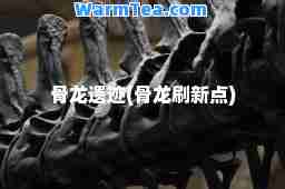 骨龙遗迹(骨龙刷新点)