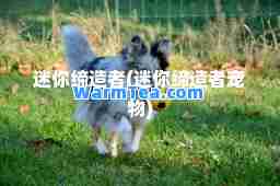 迷你(迷你宠物)