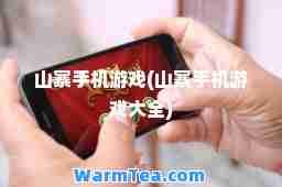 山寨手机游戏(山寨手机游戏大全)