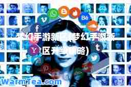 梦幻手游新区(梦幻手游新区升级攻略)