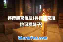 赛博朋克捏脸(赛博朋克捏脸可爱妹子)