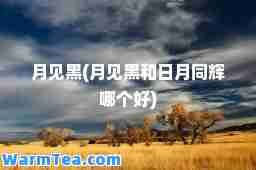月见黑(月见黑和日月同辉哪个好)