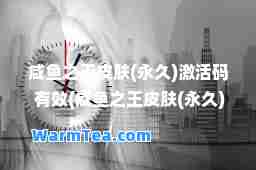 咸鱼之王皮肤()激活码 有效(咸鱼之王皮肤()激活码 有效2024)