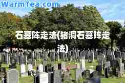 石墓阵走法(猪洞石墓阵走法)