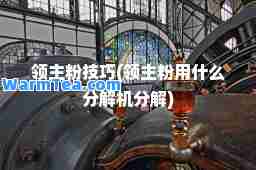 领主粉技巧(领主粉用什么分解机分解)