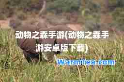动物之森手游(动物之森手游安卓版下载)