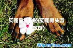 狗和骨头攻略(狗和骨头游戏攻略)
