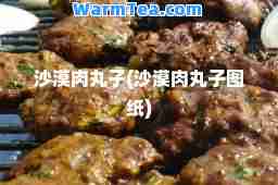 沙漠肉丸子(沙漠肉丸子图纸)