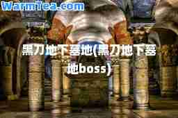 黑刀地下墓地(黑刀地下墓地boss) 黑刀地下墓地(黑刀地下墓地boss)