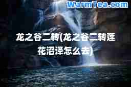 龙之谷二转(龙之谷二转莲花沼泽怎么去)