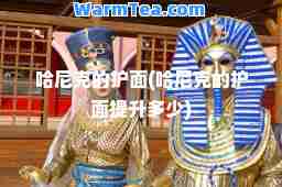 哈尼克的护面(哈尼克的护面多少)