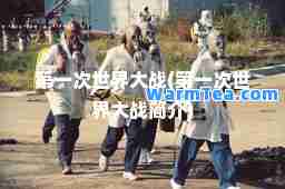 次世界大战(次世界大战简介)